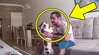 Quando Ela viu o que seu Noivo Fazia com seus Cães, Ela Cancelou o Casamento