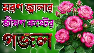 মরণ যন্ত্রনার ভীষণ কষ্টের গজল 😭 islamic gojol 2026 😭 gojol notun bangla 😭