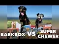 BarkBox VS Super Chewer Box Which one is right for YOUR dog