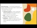 General Psychology Chapter 6 Memory