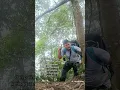 Download Lagu Ketemu Macan Kumbang Di Gunung Raung Banyuwangi #gunungraung #macankumbang #shorts