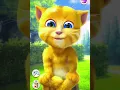 Download Lagu talking ginger funny videos || 🙀🐈😻😹