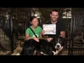 Happy New Year from the ASPCA