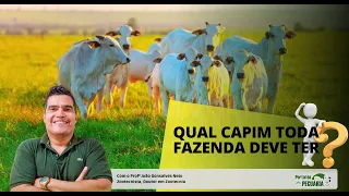 What grass should every cattle farm have?