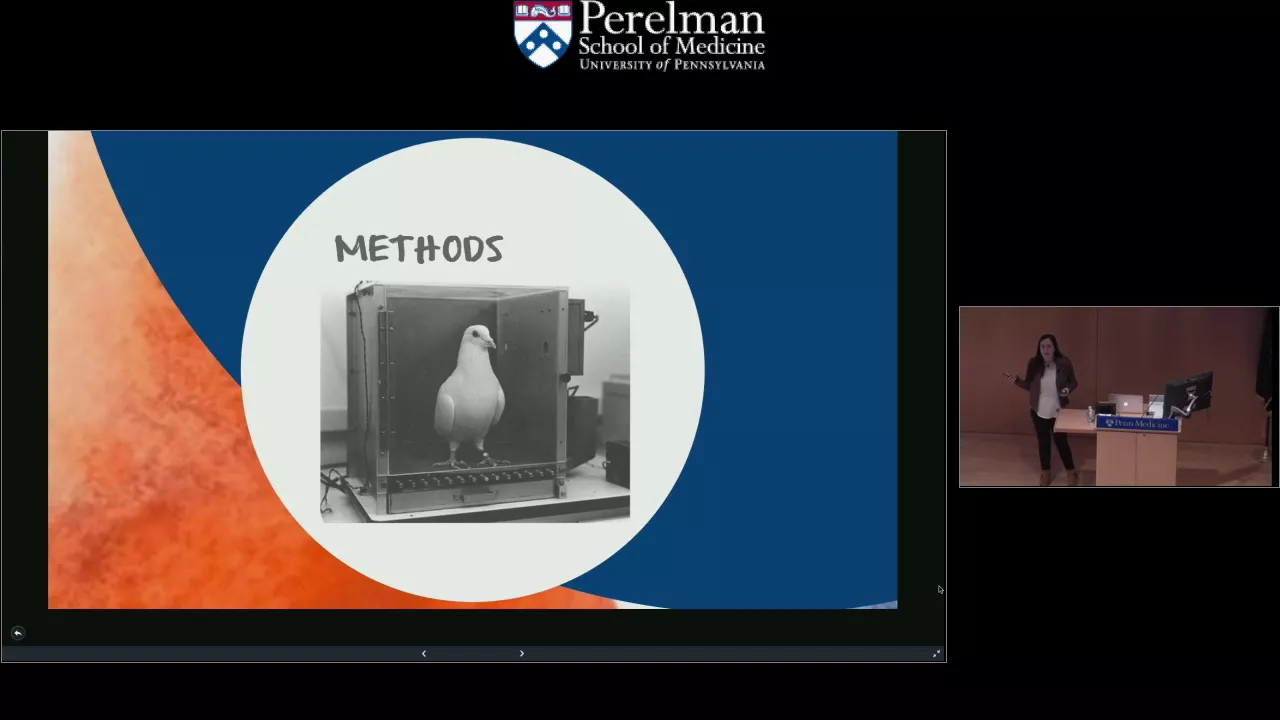 Neuroeconomics: How Your Brain Decides | Penn Neuroscience