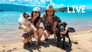 (LIVE) Happy 2026! Our Plans, Projects & What’s Next for Yabá 🌊