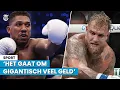 Remy Bonjasky: ‘Als dit gebeurt bij gevecht Jake Paul en Anthony Joshua, is het afgesproken’