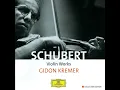 Schubert: Violin Sonata in A Minor "Sonatina", D. 385: I. Allegro moderato