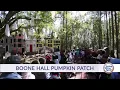 Boone Hall Plantation Pumpkin Patch