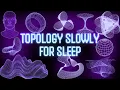 Literally Everything There Is To Know About Topology Explained Slowly