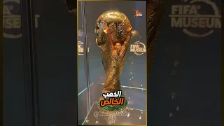 أغلى   كؤوس في العالم   رقم   ست فاجئك    دندنها