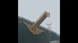 أنا المشتاق يارب البيت دندنها