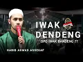 Download Lagu IWAK DENDENG‼️ IWAK BANDENG | HABIB AHMAD ASSEGAF Ft EL SAMBAT PARAKAN | COVER ZAHIR MANIA REMBANG