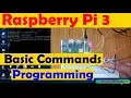 Raspberry pi Basic commands and writing your first Python Program Tutorial