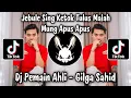 DJ PEMAIN AHLI GILGA SAHID - JEBULE SING KETOK TULUS MALAH MUNG APUS APUS | DJ TIKTOK TERBARU 2025
