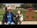 Best Pet Friendly Airbnbs Across the US