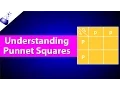 How Punnett Squares Work