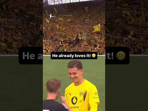 When Konstantinos Karetsas experienced the Yellow Wall for the first time! 🤯