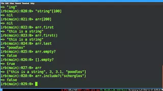 Programming Ruby 06 -