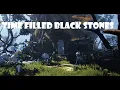 BDO best farming spot for Time Filled Black Stones at Weenie cabin
