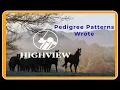 Pedigree Patterns Wrote