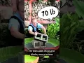 Download Lagu 175 lb blocks on a lily pad. Will it hold? | #VizcayaMuseum MP3