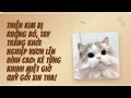 Download Lagu Thiên kim bị ruồng bỏ, tay không khởi nghiệp vươn lên đỉnh cao, kẻ từng khinh miệt giờ quỳ gối !