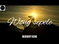 Download Lagu WONG SEPELE || NDARBOY GENK (UnOfficial Lirik)