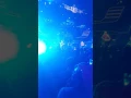 Download Lagu That's why - Michael Learn To Rock - Saigon 2017