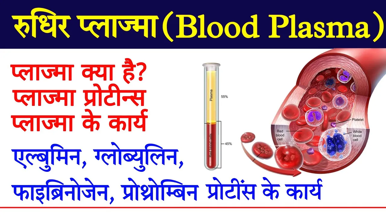 प्लाज्मा क्या है | What is plasma | blood plasma in hindi | plasma proteins biochemistry & function