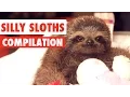 Silly Sloths Compilation 2017