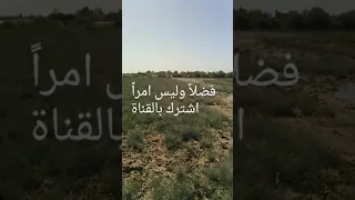 ارضنا الجميلة 