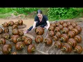 Download Lagu Amazing! Harvesting Many Rock Snail \u0026 Sell at the Market | Grilled snails recipe in the forest