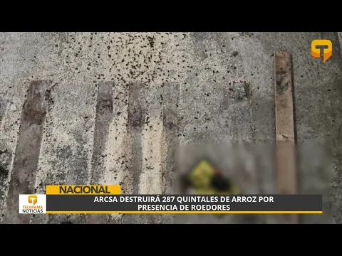 ARCSA destruirá 287 quintales de arroz por presencia de roedores