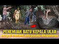 Download Lagu Bikin penasaran,,Kepala ular seperti batu aslii mirip batu ular yang lagi virall di thailand