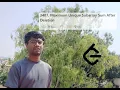 Leetcode Daily Problem 3487 Maximum Unique Subarray Sum After Deletion