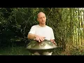Download Lagu Heart Chakra Activation | 1 hour handpan music | Malte Marten