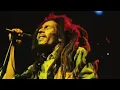 Download Lagu Story wa Bob Marley