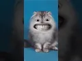 Lagu duba dooba 😍😍 cat dance #cartoon #comedy