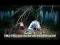 Download Lagu Midden in de nacht wakker geworden en het geluid gehoord van mensen die in het bos aan het verkopen