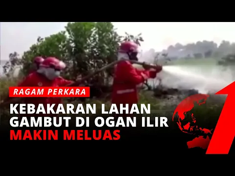 Karhutla Semakin Meluas, Petugas Kejar Pelaku Pembakaran