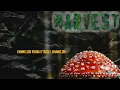 4.Leverage : ISIQUBU EMAMELODI | [Official Lyric Video] | HARVEST SPRING CASPSULE