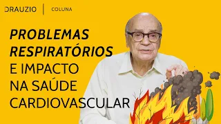 Incêndios florestais: Como afetam a nossa saúde?