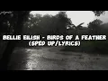 Download Lagu birds of a feather - Billie Eilish(sped up)/lyrics