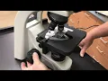 Biology 10 Microscope Basics