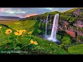 Download Lagu Healing Music for Inner Peace🌿 Soothing Music, Calm Nature Sounds for Stress Release \u0026 Deep Sleep