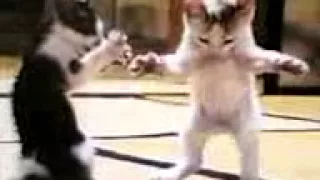 برم برم دندنها