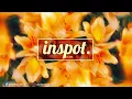 Kasbo - The Way You Had Me