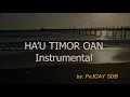 HA'U TIMOR OAN - Instrumental ho Letra