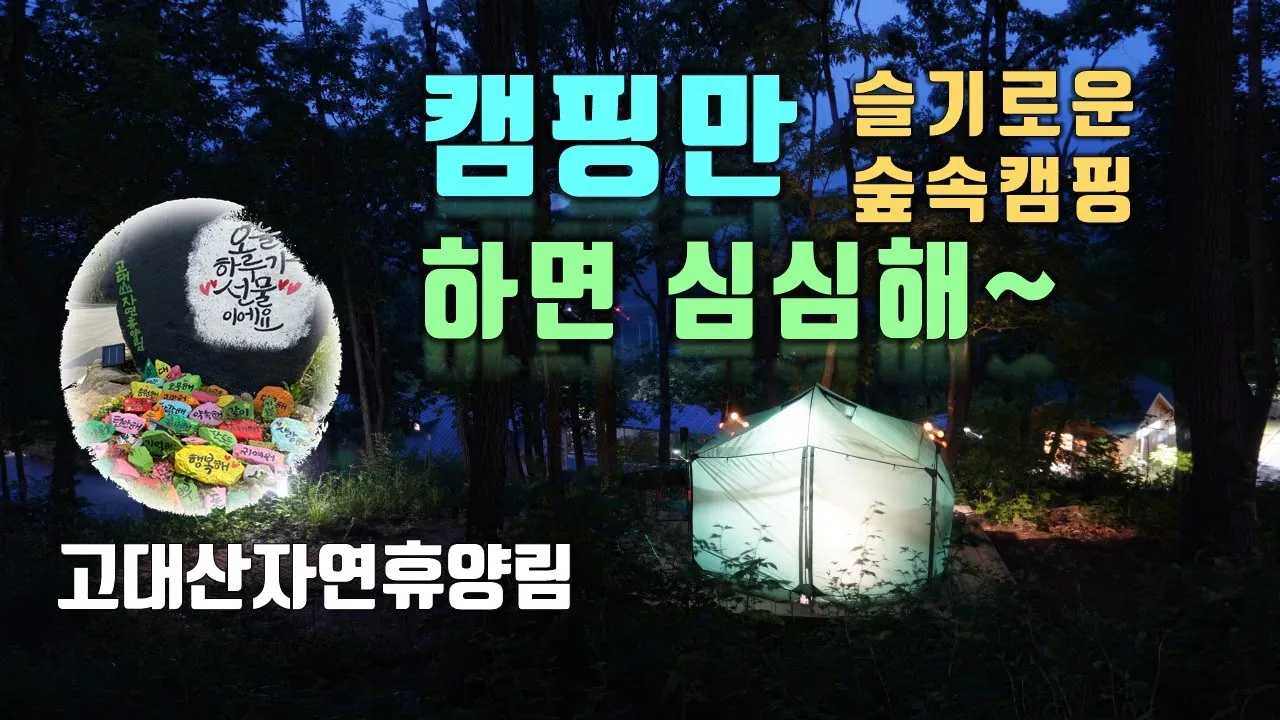 4K [포토라이tv]연천고대산자연휴양림 숲에서 여름대비 미니멀캠핑//모기장이너/여름캠핑/메쉬이너출동/휴양림임도에서MTB즐기기/돼지갈비볶음탕camping/숲속하루 썸네일
